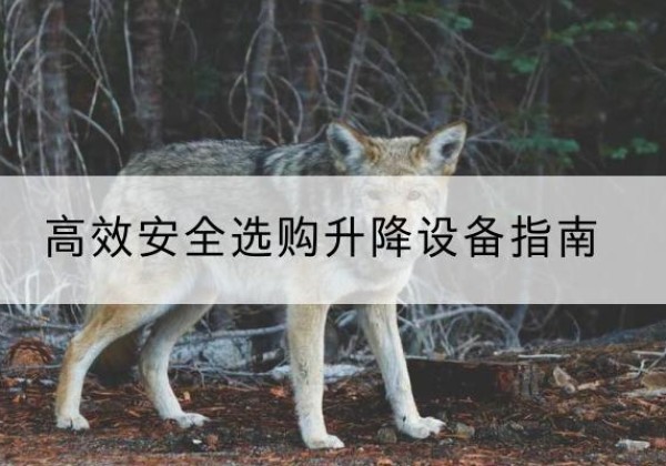 宣恩升降货梯厂家推荐-*安全选购升降设备指南