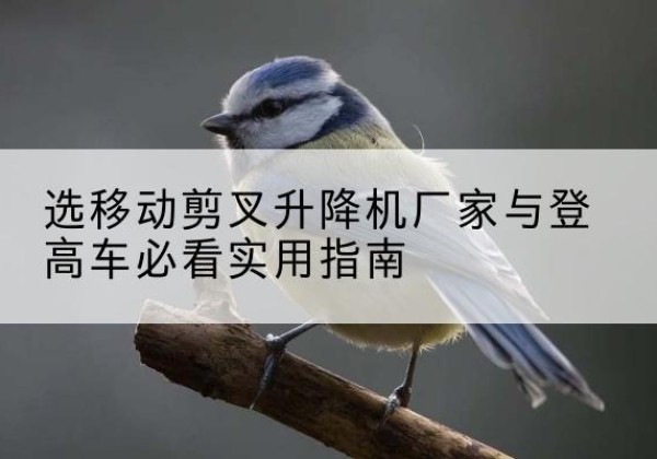 宣恩电动升降机厂家-选移动剪叉升降机厂家与登高车必看实用指南