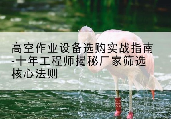 宣恩剪叉式升降机厂家-高空作业设备选购实战指南-十年工程师揭秘厂家筛选核心法则